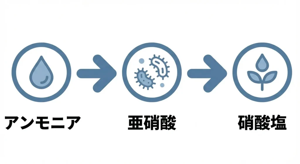 分解のサイクル