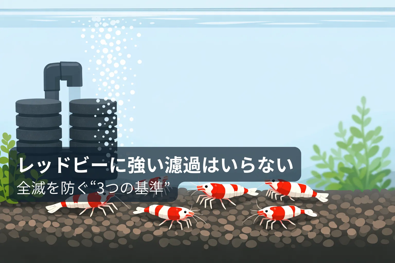 レッドビーの飼育に強い濾過はいらない