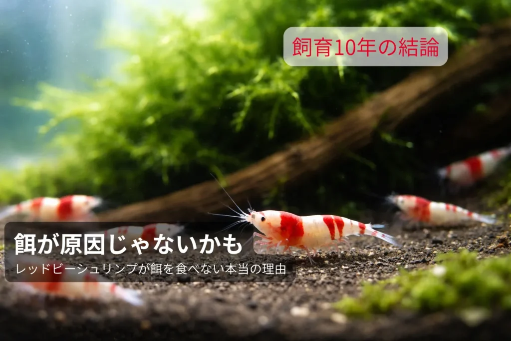 餌が原因じゃないかも