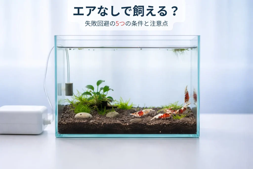 エアなしで飼える？ 失敗回避の5つ条件と注意点